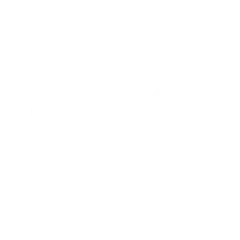 Oynx F1 Logo
