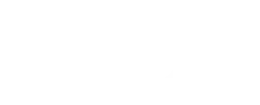 LDS F1 Team Logo White