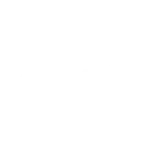 Lyncar F1 Logo White